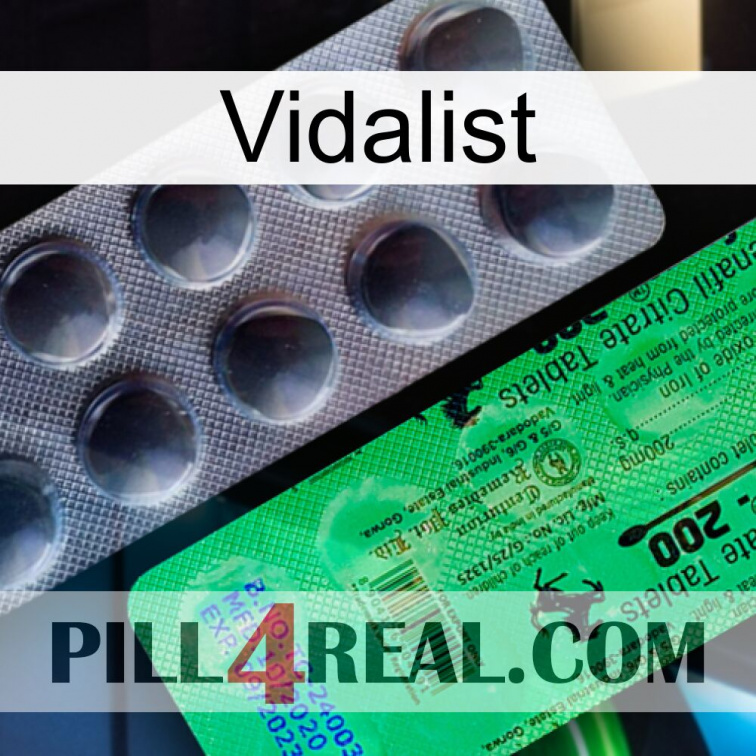 Vidalist new04
